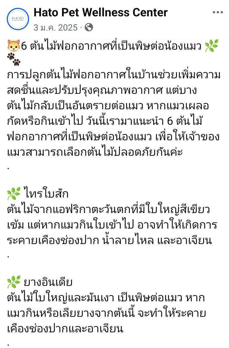 K. fan tweet media