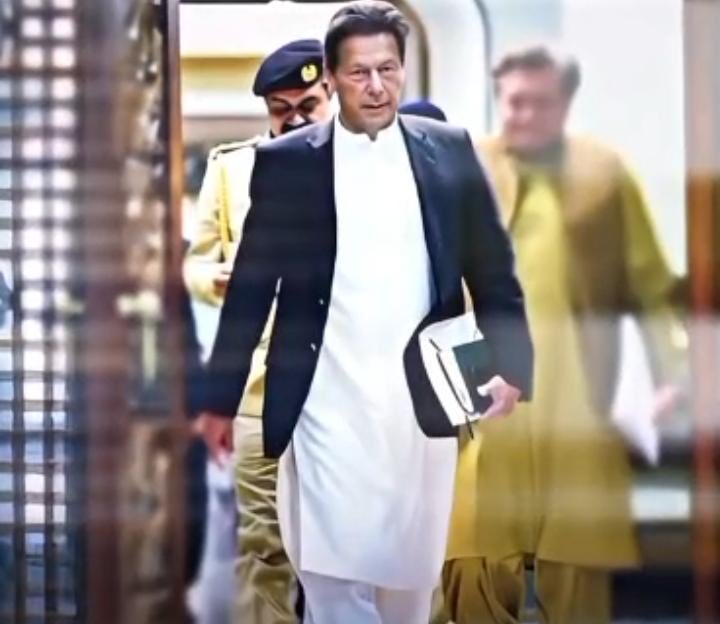 Seema Mohmand tweet media