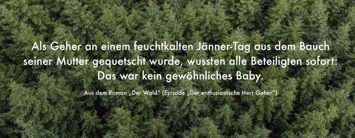 Mein Roman "Der Wald" erscheint am 28. Mai, hier kann man sein Exemplar schon jetzt vorbestellen: writingfactory.at/edition-writin…