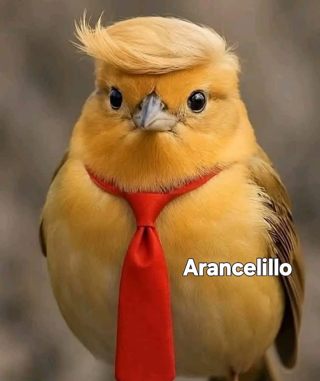 (500) Days of Summer🎬📷🎶✈️🍴🍸 tweet media