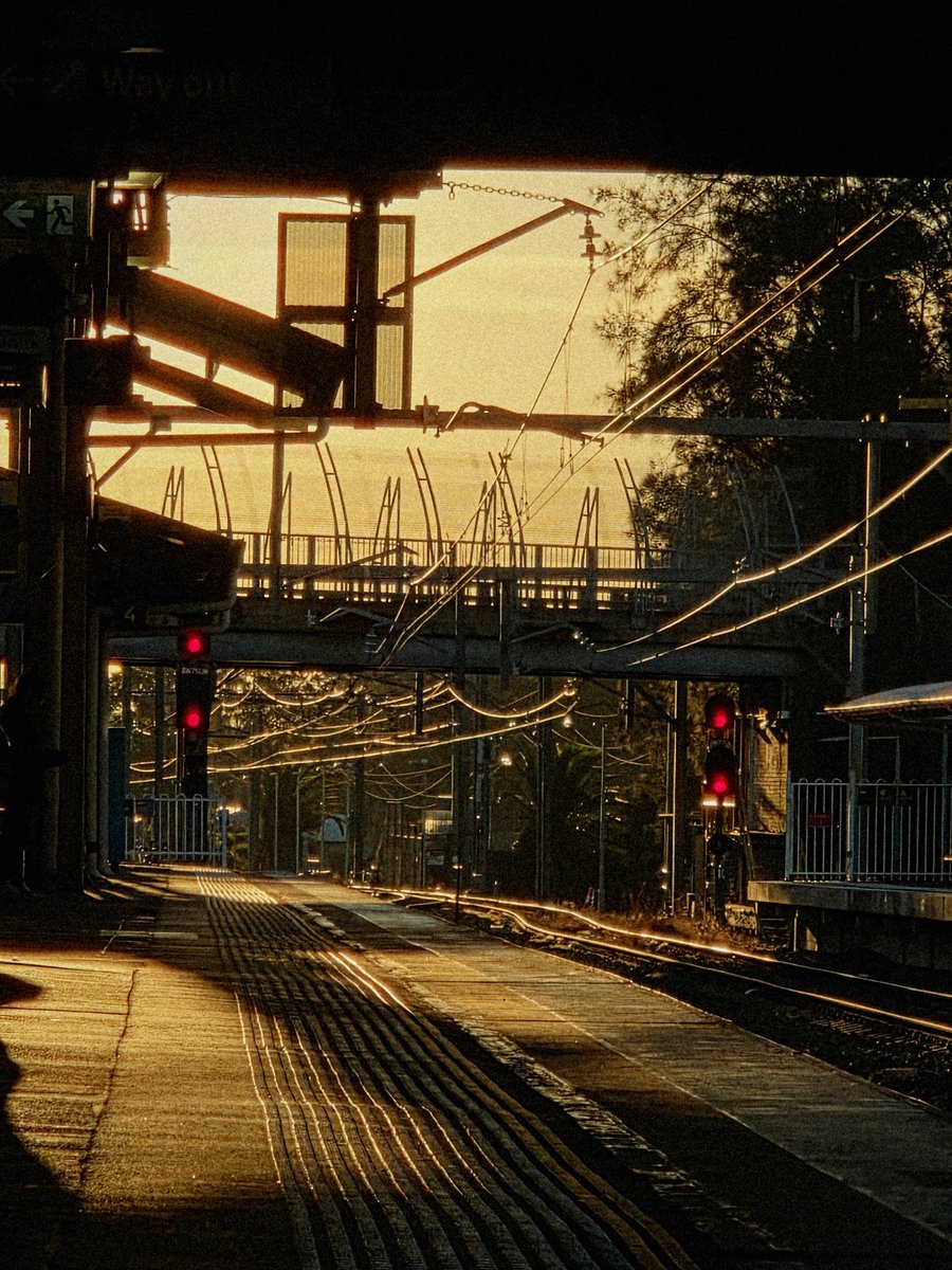 🌙놀프 tweet media