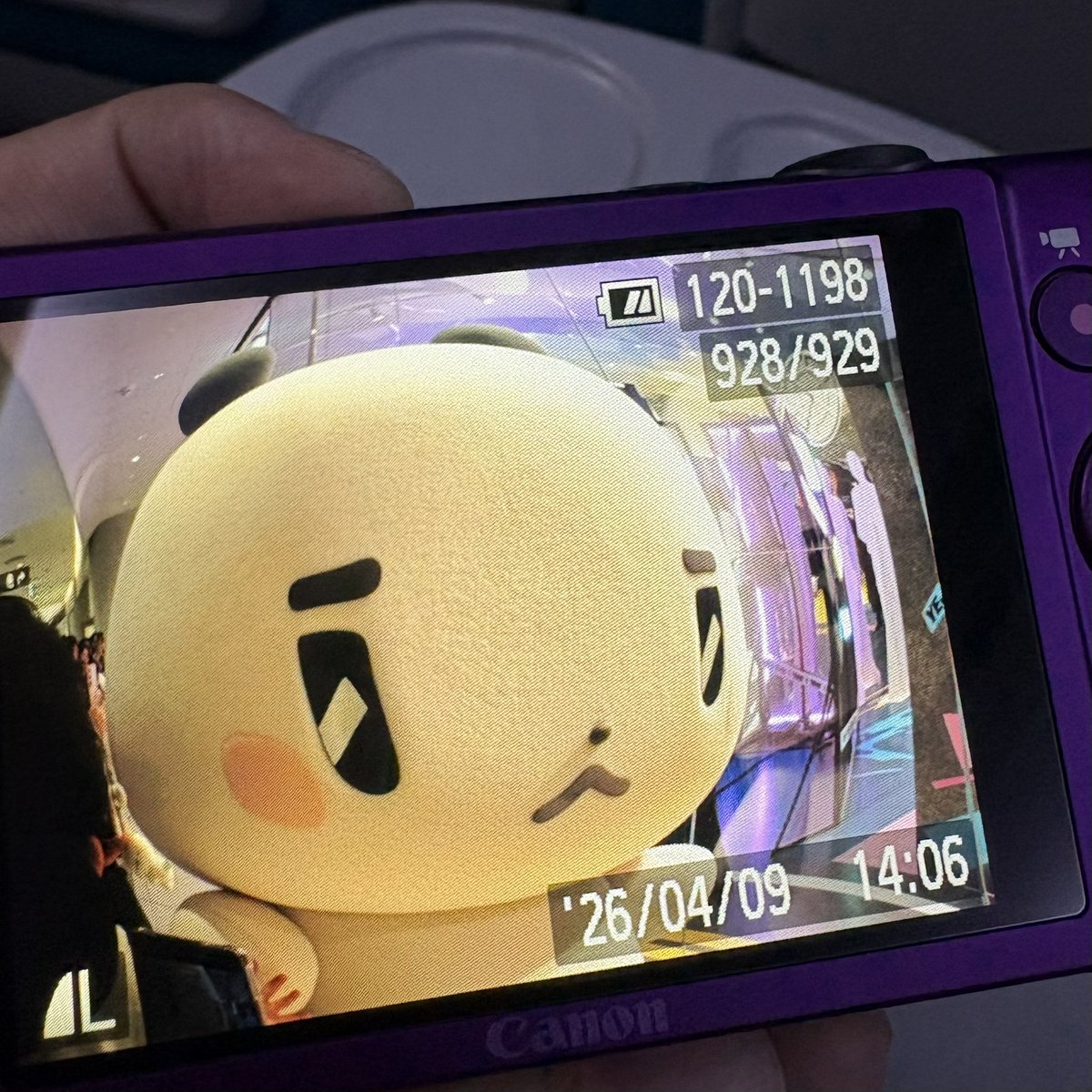 퍄퍄퍄 tweet media