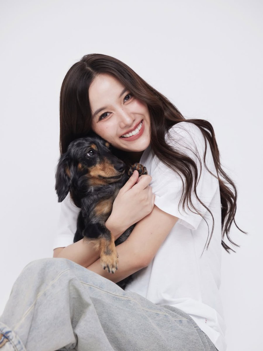 SSFC_puchi tweet media