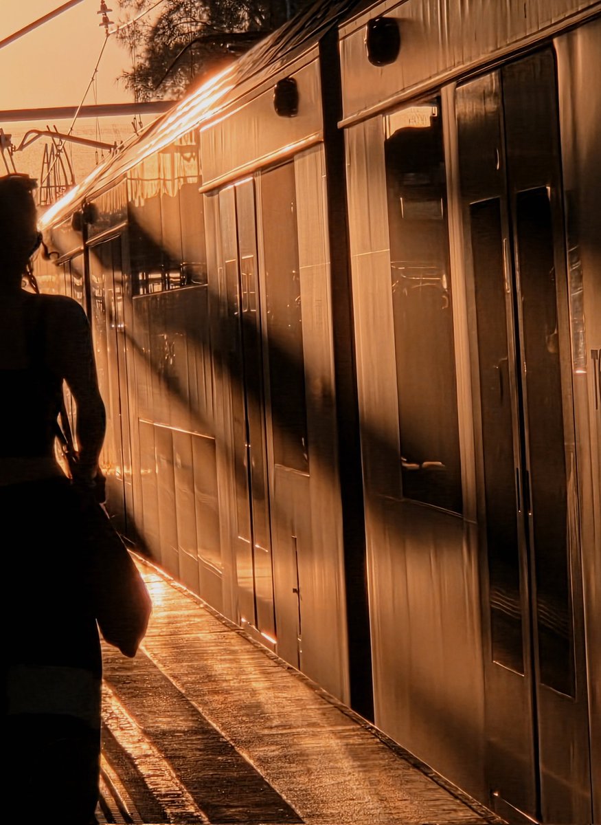 🌙놀프 tweet media