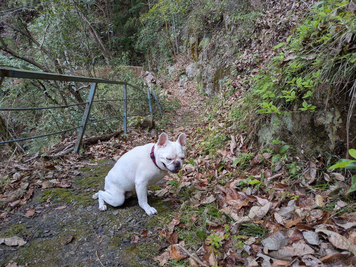 べぇべぇべぇ＠不治の病 tweet media