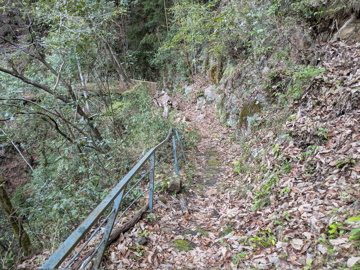 べぇべぇべぇ＠不治の病 tweet media