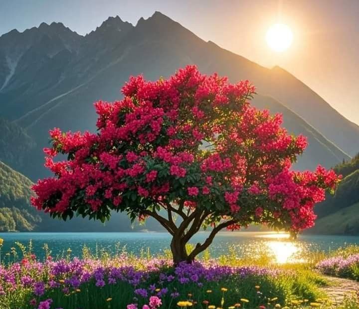 ☛ ꫀꪑ𝓲ꪶꪗ 𝘴☚✿🌹❍☛NO DM⛔ tweet media