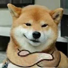 晚来风iz tweet media