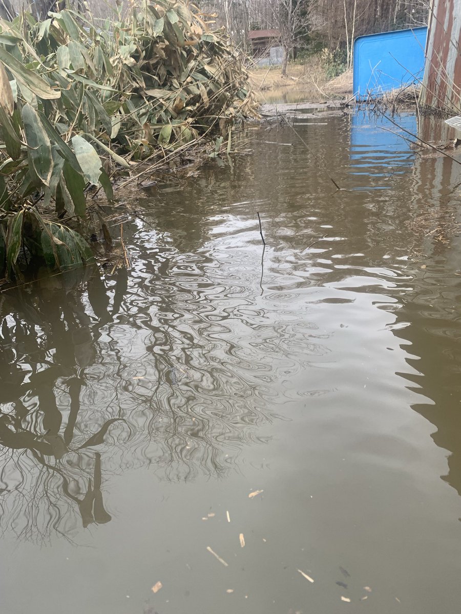 焼肉屋の細川@MADAO🕸️💯 tweet media