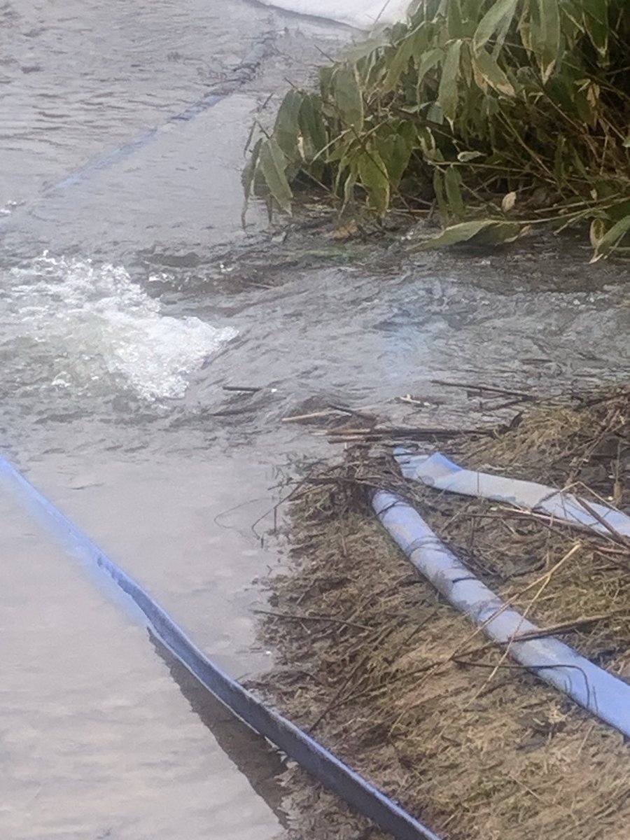 焼肉屋の細川@MADAO🕸️💯 tweet media