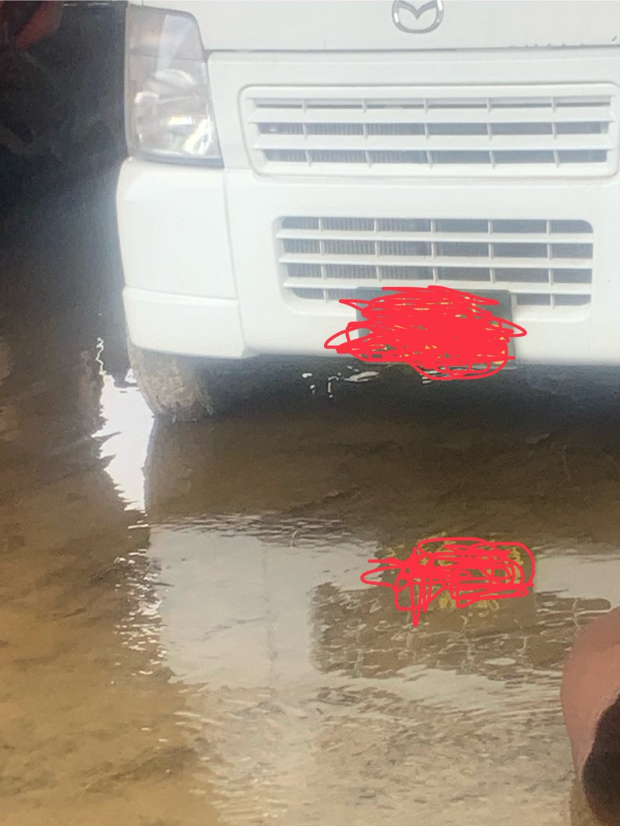 焼肉屋の細川@MADAO🕸️💯 tweet media