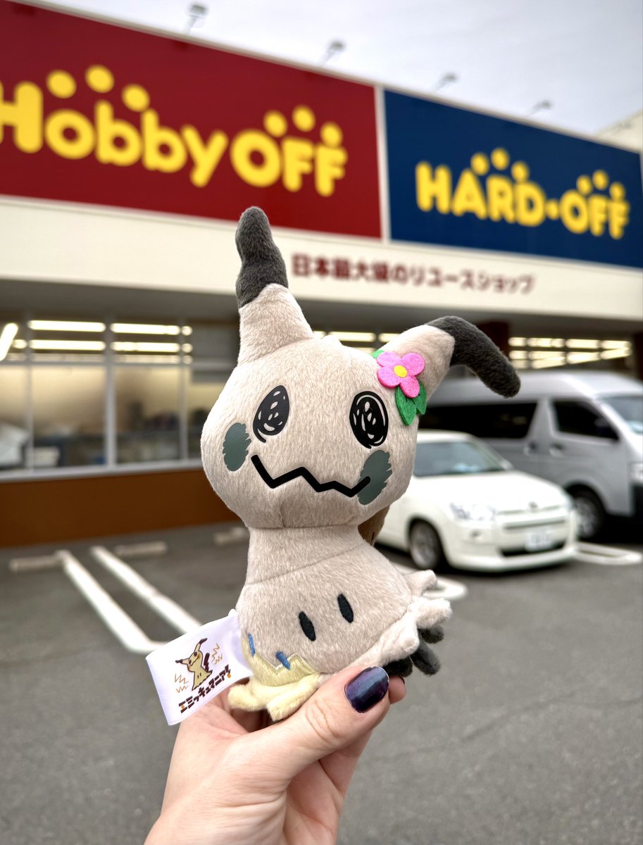 Nora | CEO of Mega Evolution 👾 tweet media