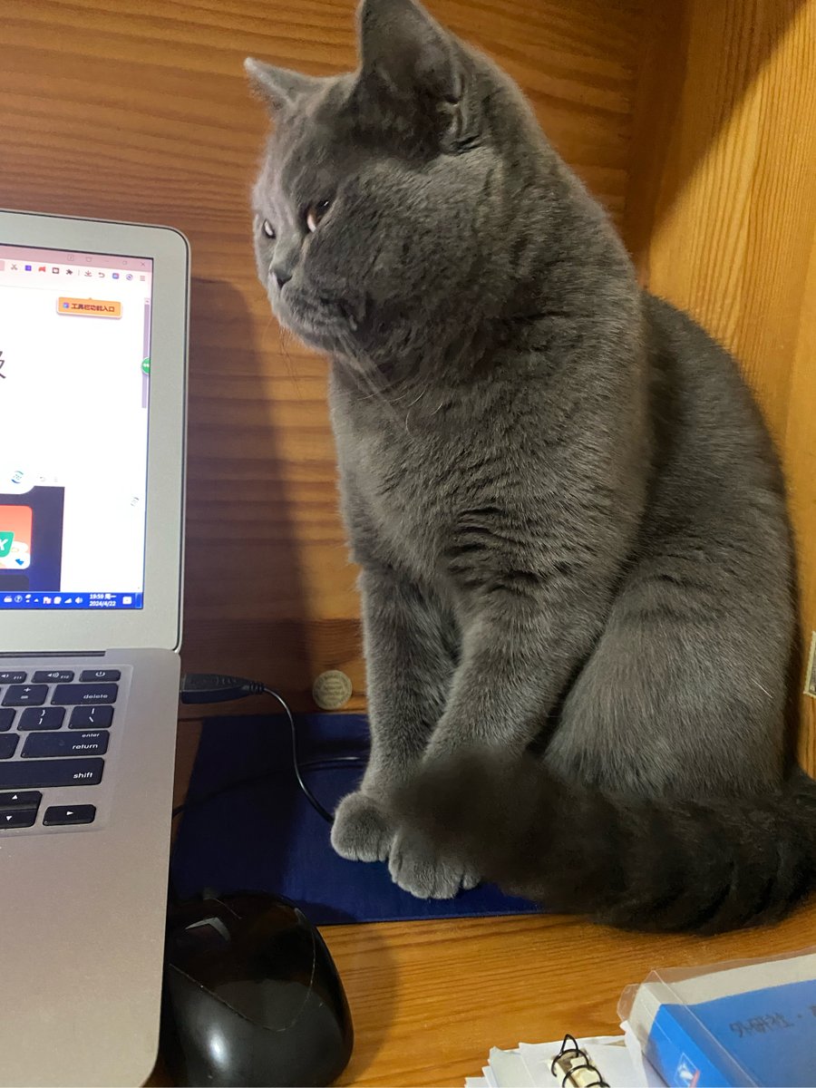 Josh Hancock tweet media