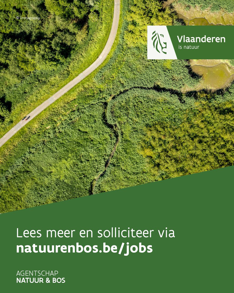 natuurenbos's tweet photo. Wil jij meewerken aan meer en betere natuur én samenwerken met deze fijne collega's? 💚 Dat kan! Wij zoeken nieuw talent dat zich wil inzetten voor stikstofherstel:

✅6 specialisten natuurinrichting en -beheer
✅1 programmamedewerker stikstofsanering
✅1 technisch specialist ecohydrologie
✅1 expert natuurbeheerplannen
✅1 expert ecohydrologie
✅1 implementatiecoördinator Europese natuurdoelen
✅1 projectleider Westhoek en Kust

Laat van je horen! Ontdek al onze vacatures op 👉🏾 https://t.co/J4kfc9zXOa

#vacatures #groenjobs #natuurbeheer #teamwork #stikstofherstel