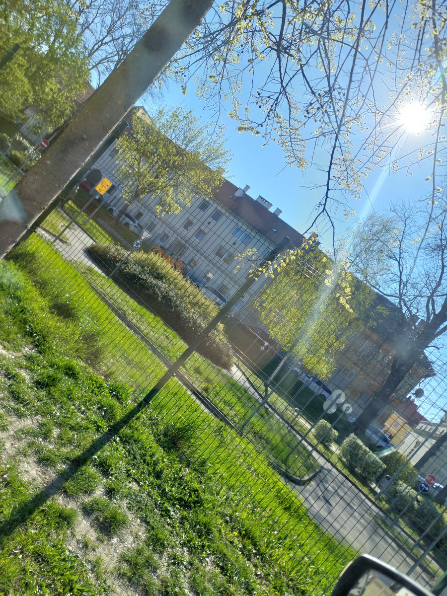 ProHun ✳️ tweet media