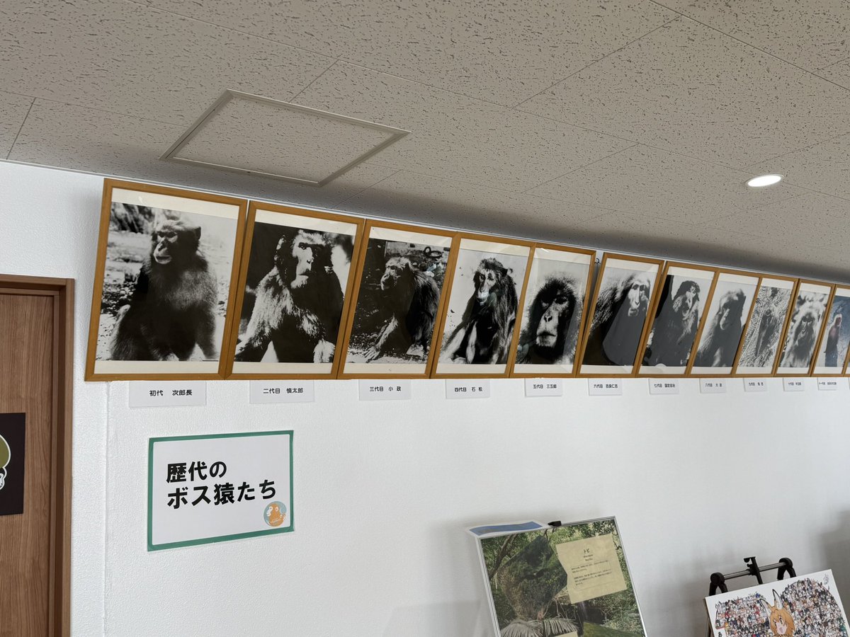 やまよ tweet media