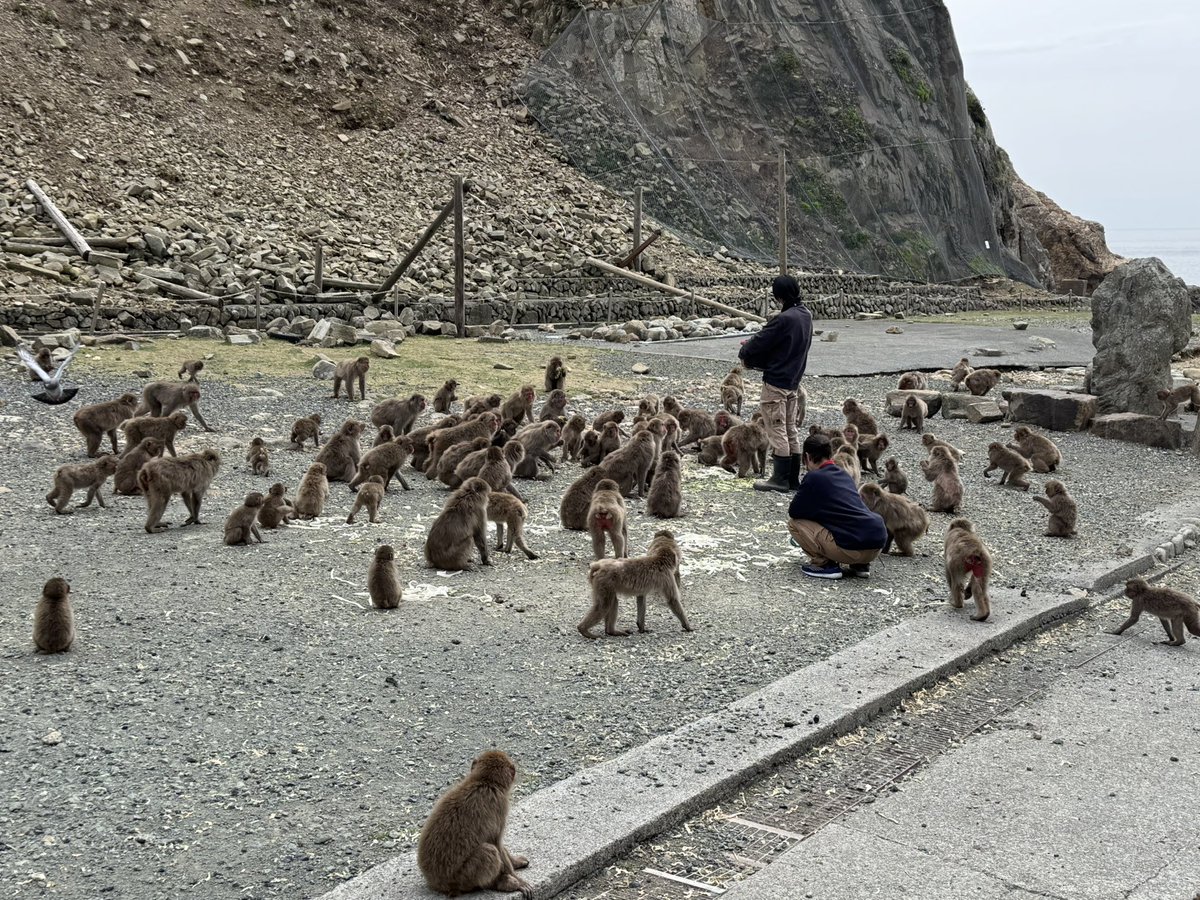 やまよ tweet media