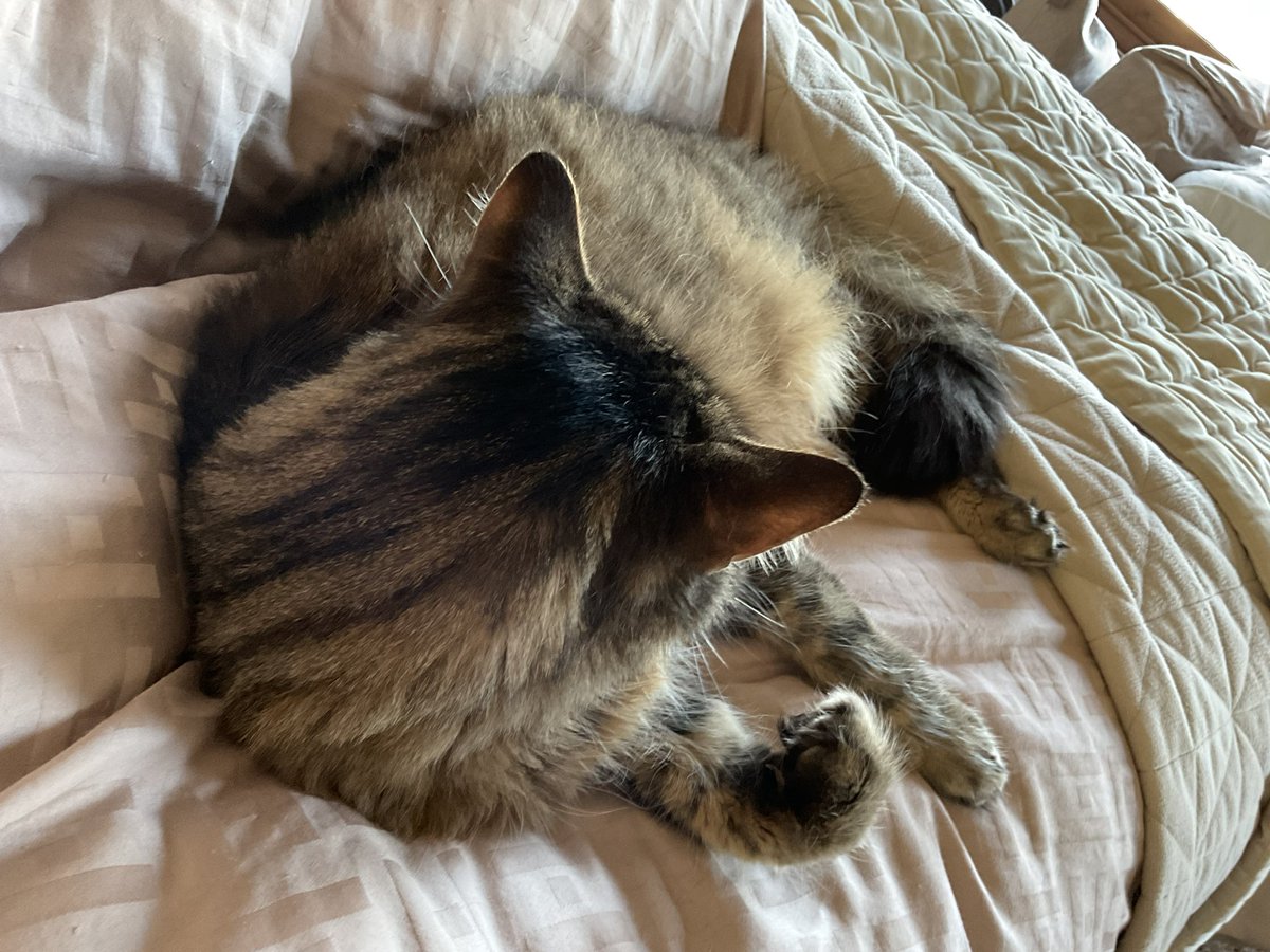 Guy Andrews-Scott tweet media