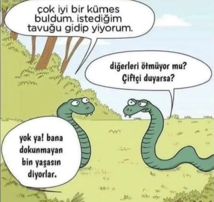 serpil (@srpl_ykl) on Twitter photo 
