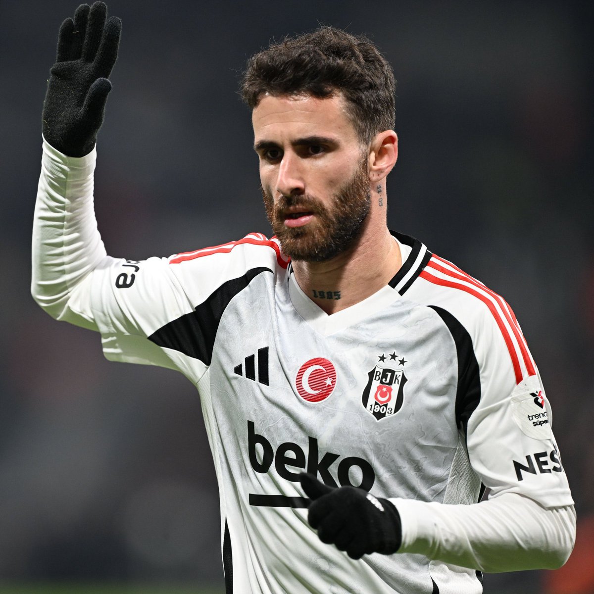 Ağaçlı Yol tweet media