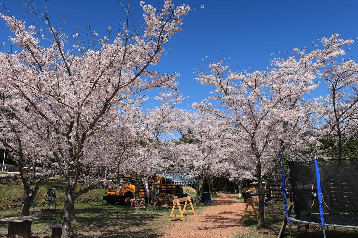 camp.tomG tweet media