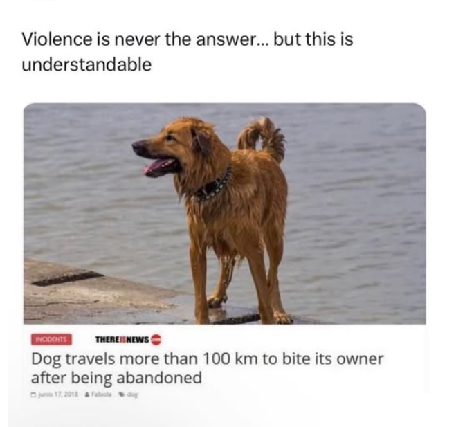 The Brotherhood HQ tweet media