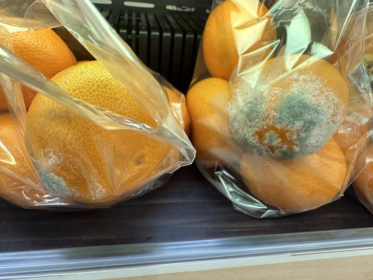 ＪＵＮ tweet media