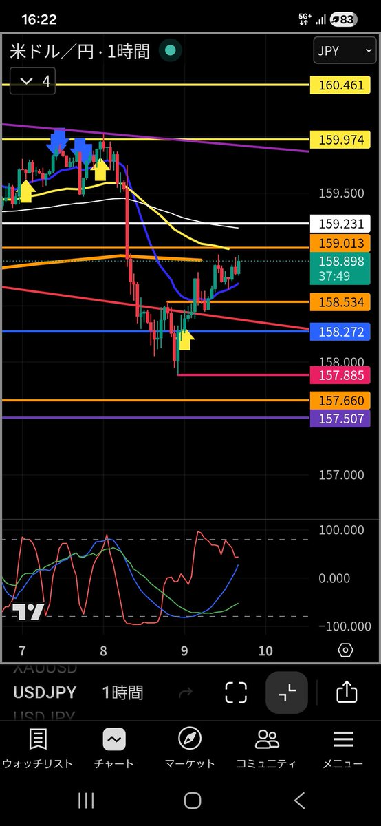 ちゃんまる_FX@ドル円専門 tweet media