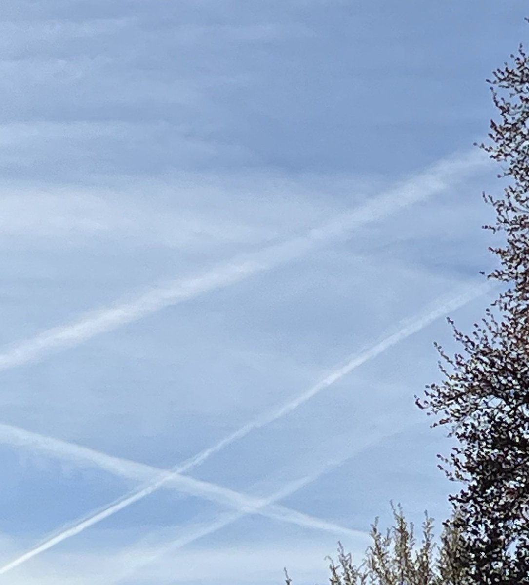 Drachen Wachküsserin 🇨🇭 Alles für die 🇨🇭 tweet media