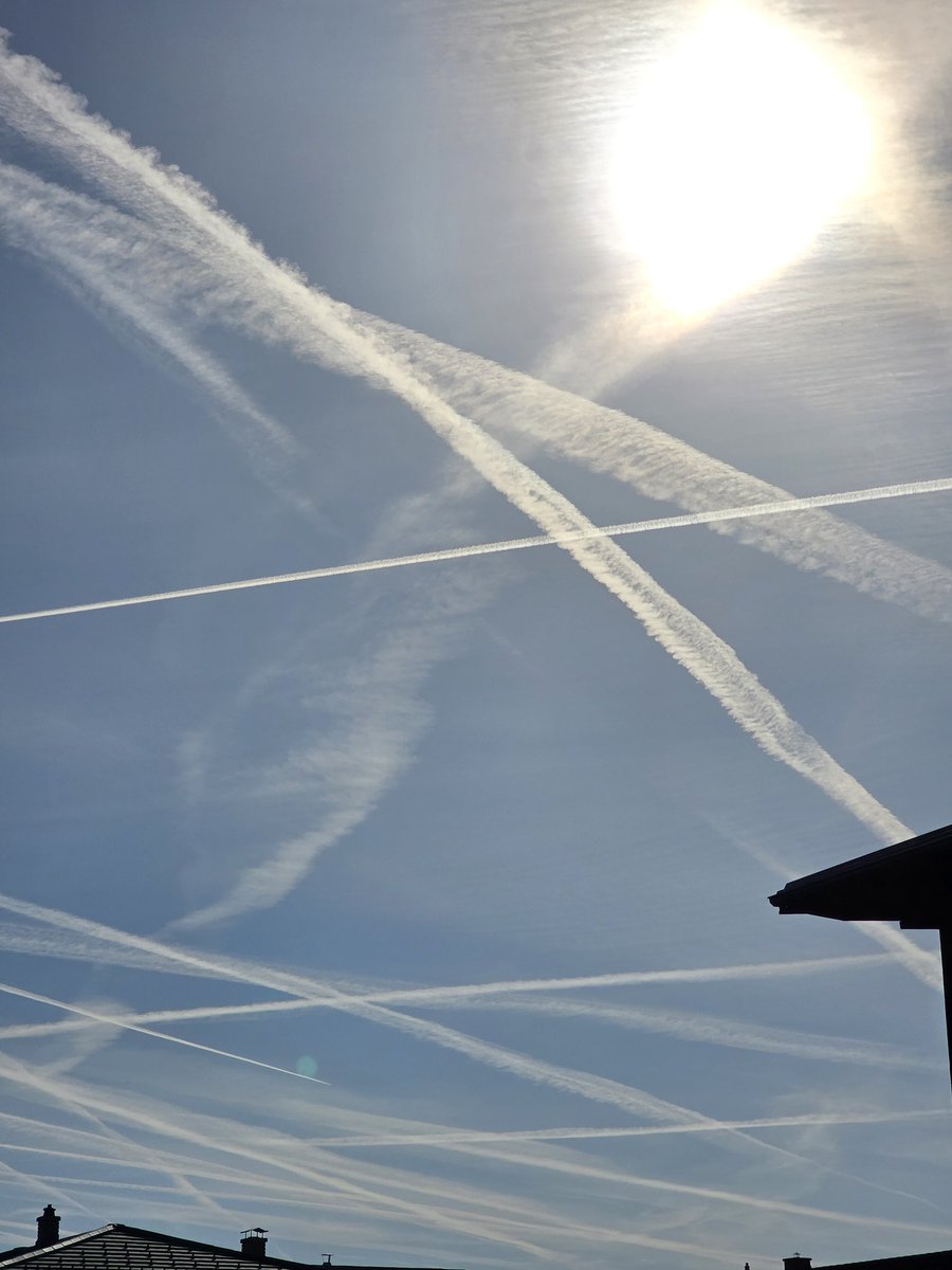 Petra Juvančič tweet media