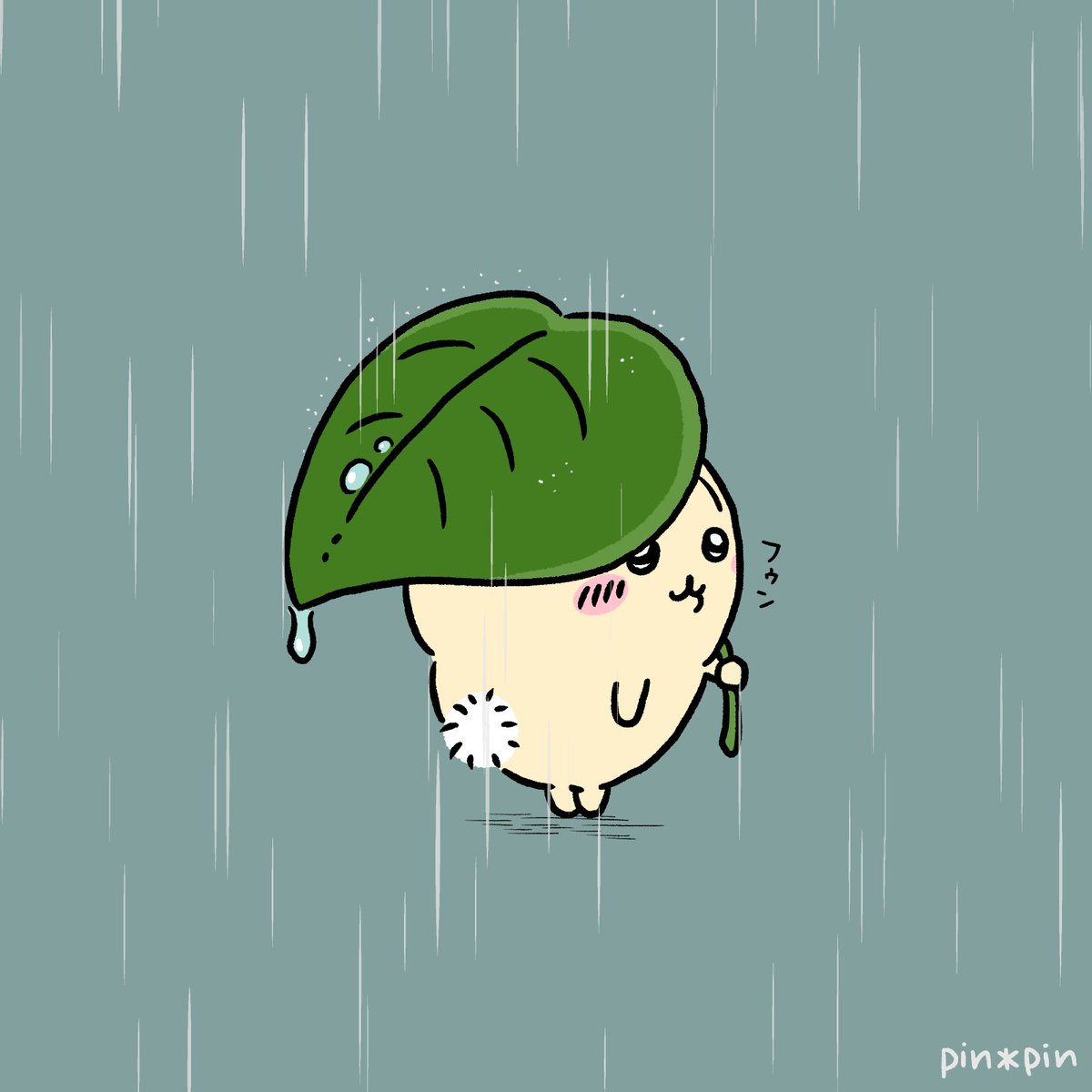 pin＊pin tweet media