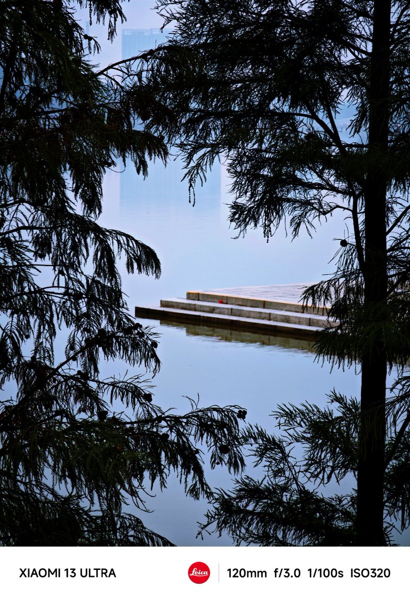 Anthony molinaro tweet media