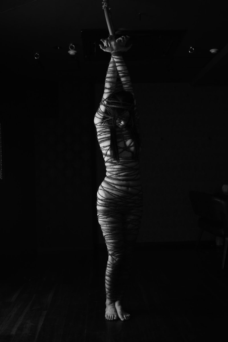 長谷川伸 tweet media