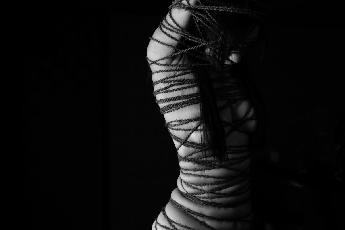 長谷川伸 tweet media