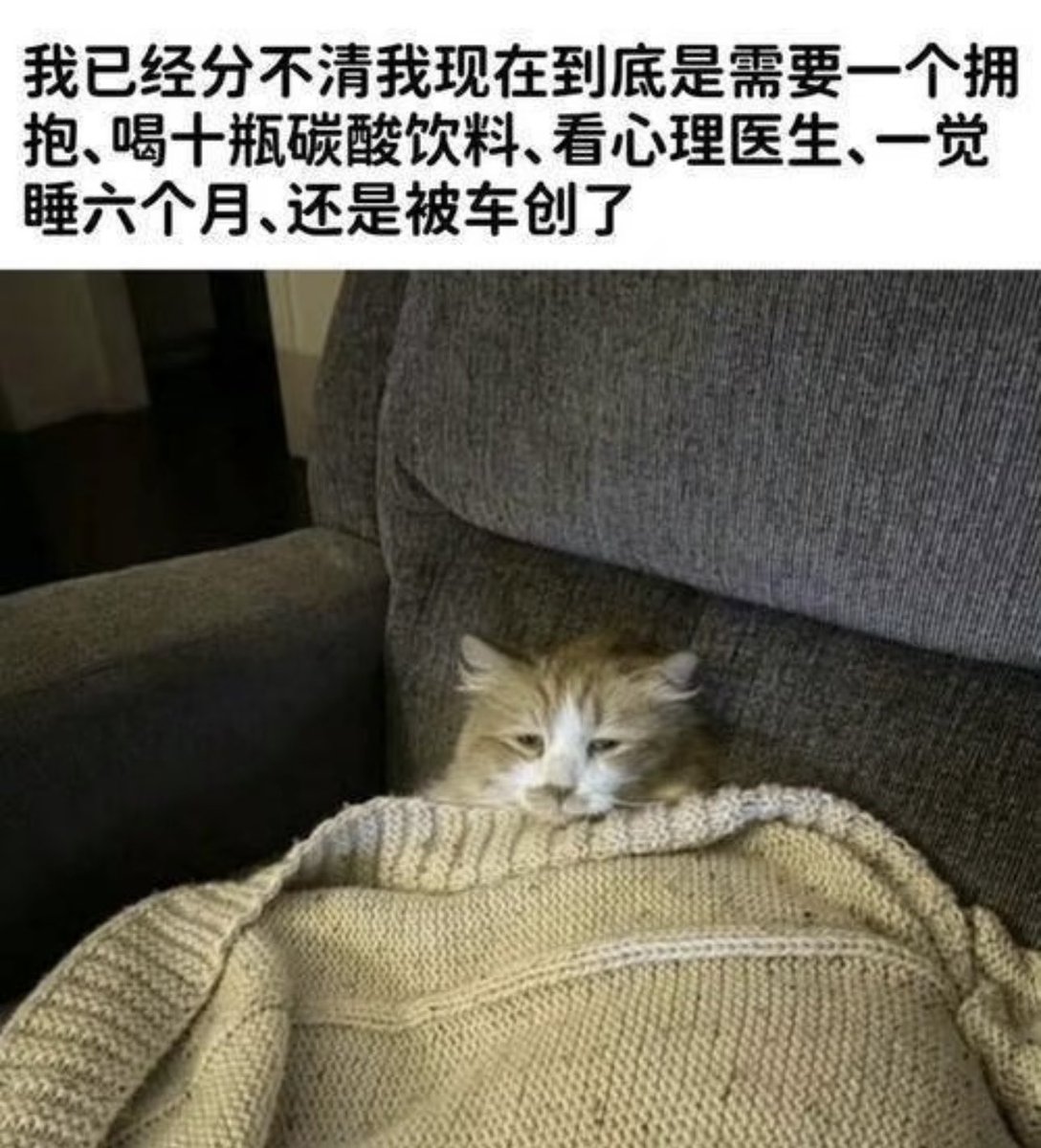 Elly tweet media