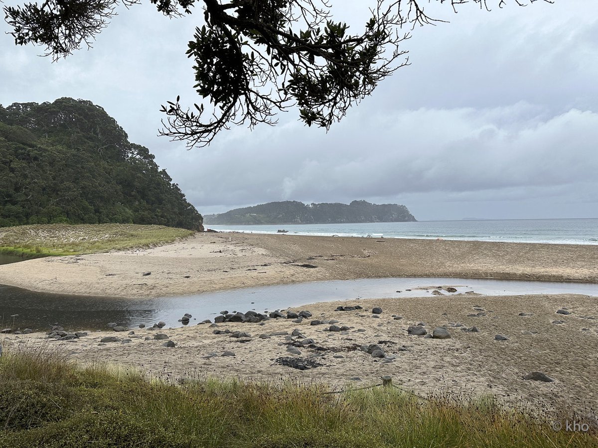 kho_nrw's tweet image. Ich schaue hinaus
und lasse den Morgen

so unvollständig,
wie er ist…🌿

#meer #strand #morgen #stille #ruhe #natur #achtsamkeit #neuseeland