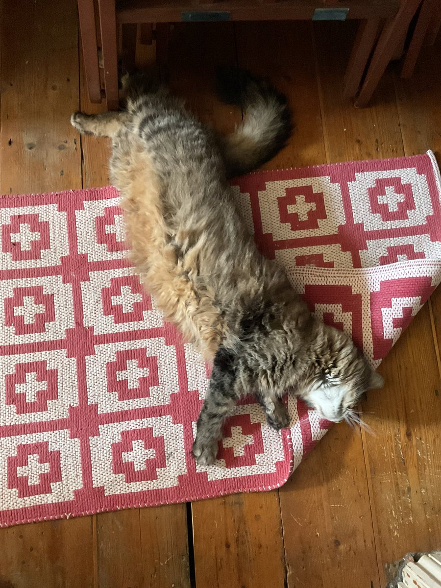 Guy Andrews-Scott tweet media