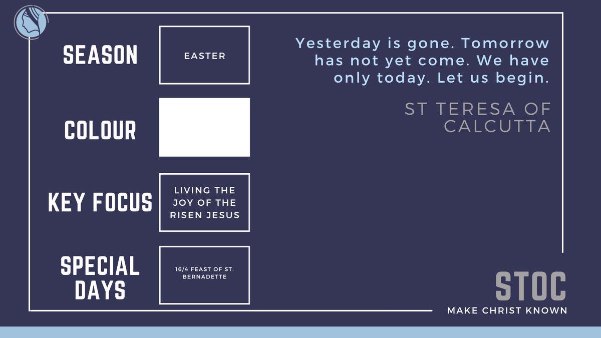 St Teresa of Calcutta CAT tweet media