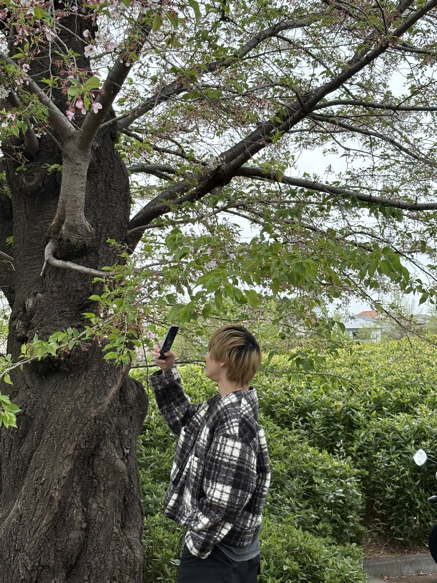 三原大樹 tweet media