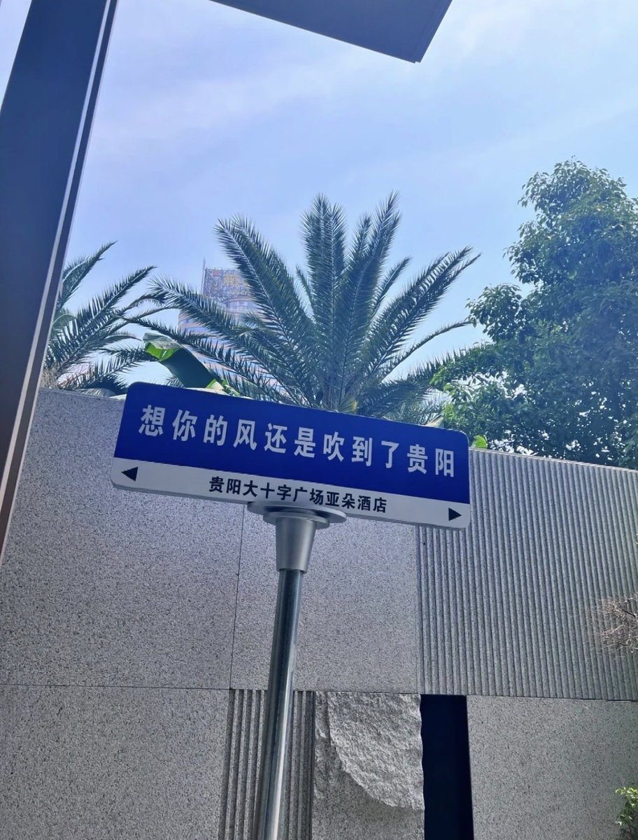 丽娜 tweet media