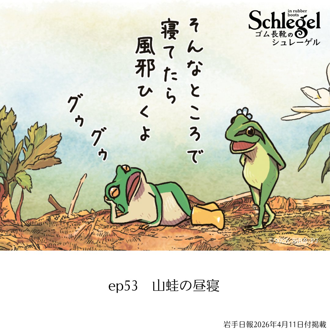 ずっと「違う！」って言ってきたけど、もうダメかも。
でも、あいつを認めたら……止まらない鼻水。
せめて、ニリンソウみたいに、
そっと寄り添うくらいでいてほしい、花粉。

#ゴム長靴のシュレーゲル #岩手日報 #宮沢賢治 #カエル #花粉症 #春 #昼寝