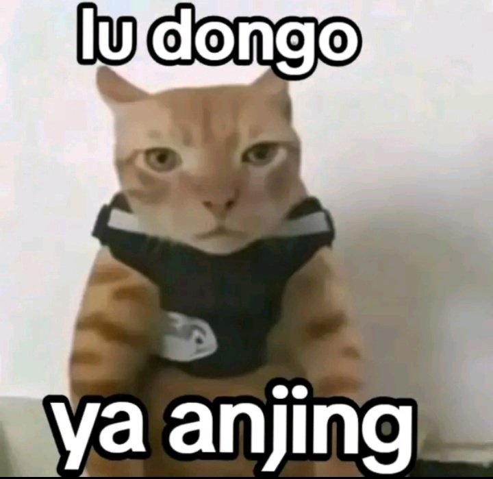 |𝐫𝐚 tweet media