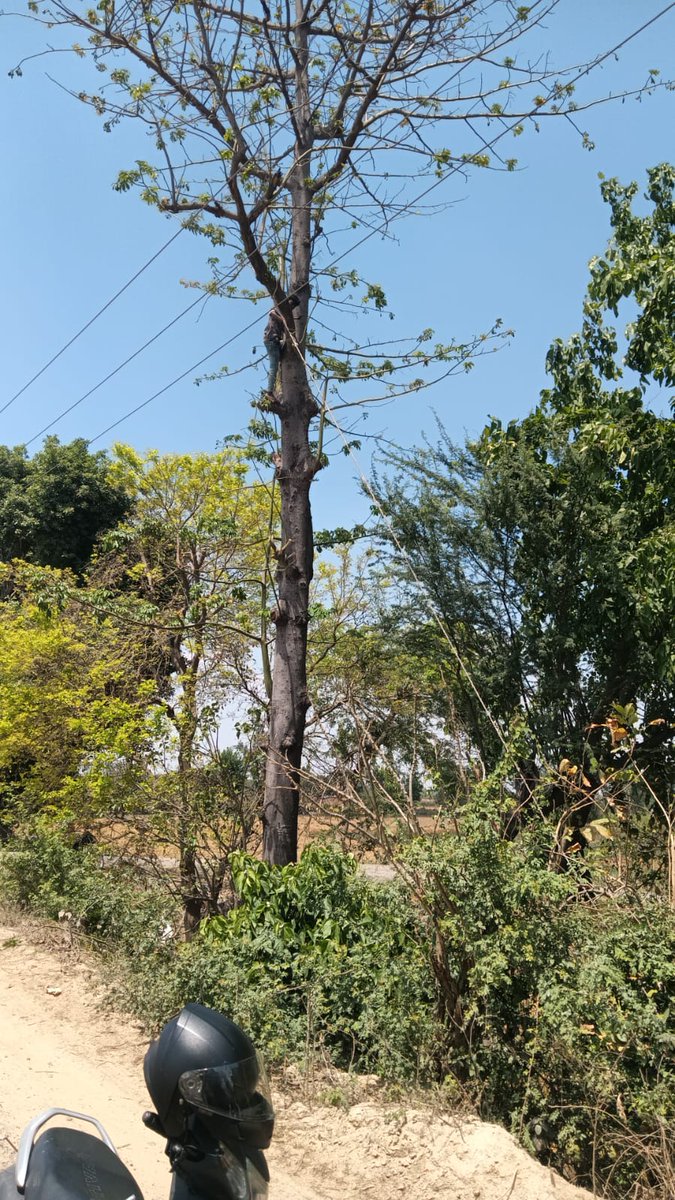 MVVNL Ayodhya tweet media