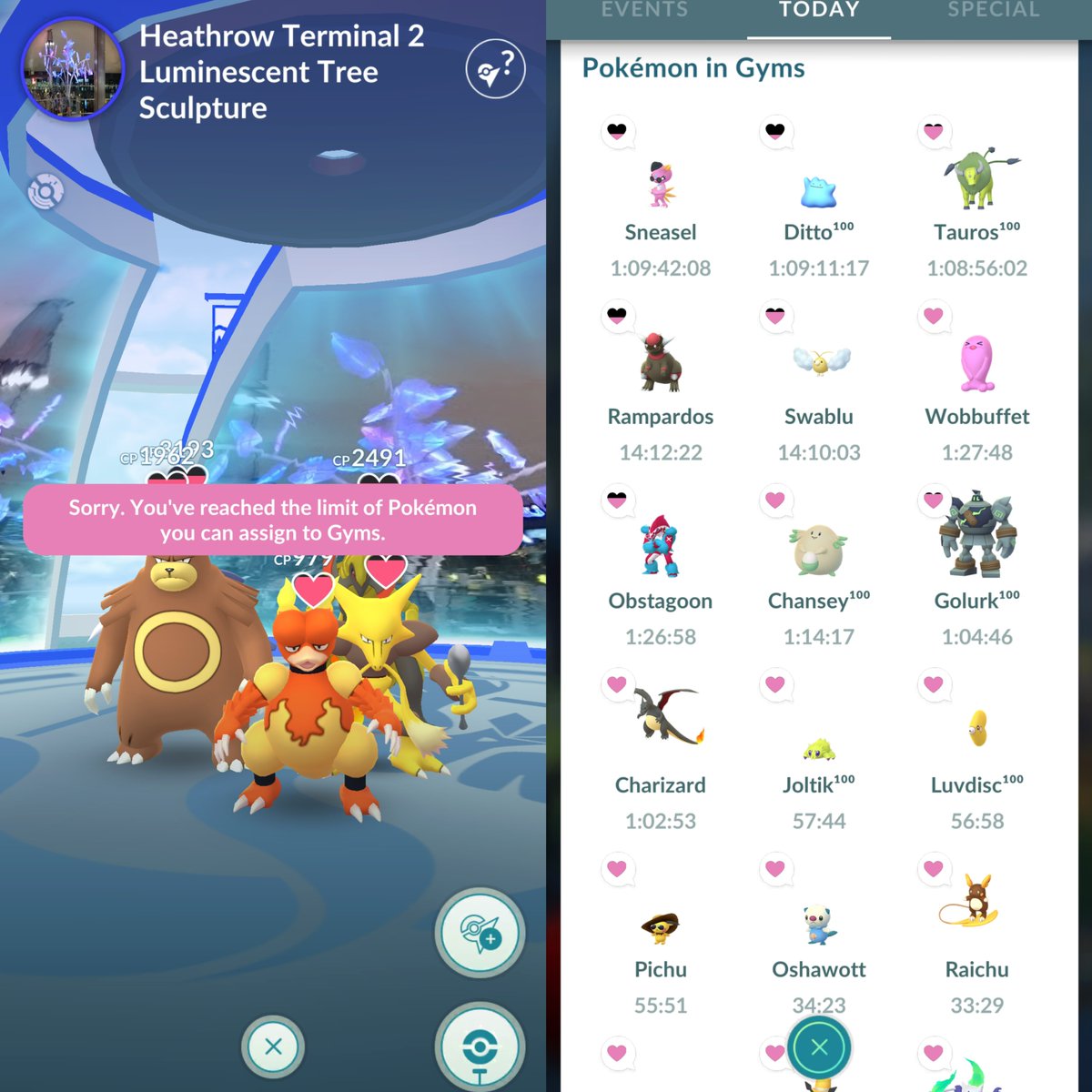 ShinyJani ✨ tweet media