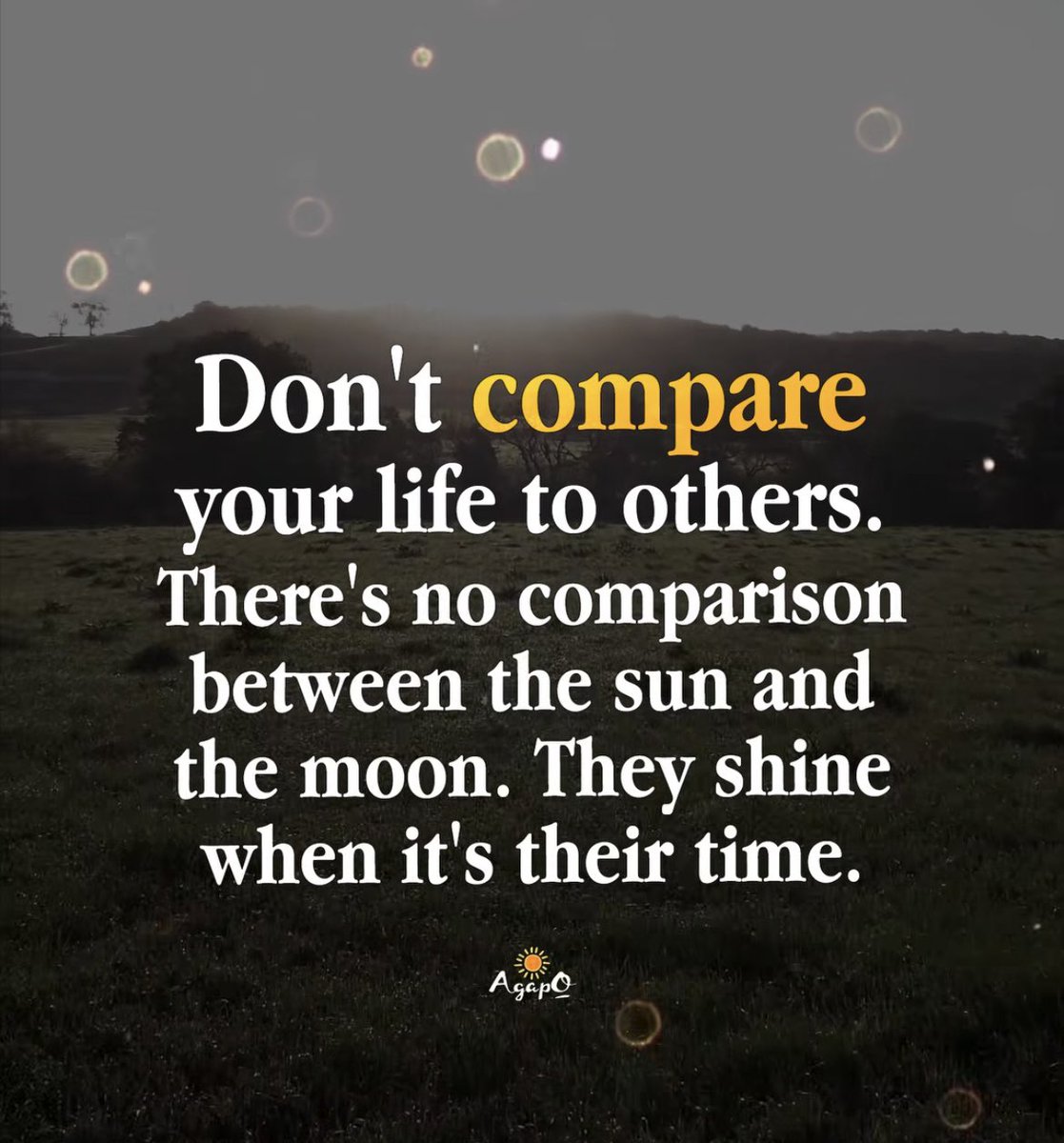 Ceremoniesbycolm.ie tweet media