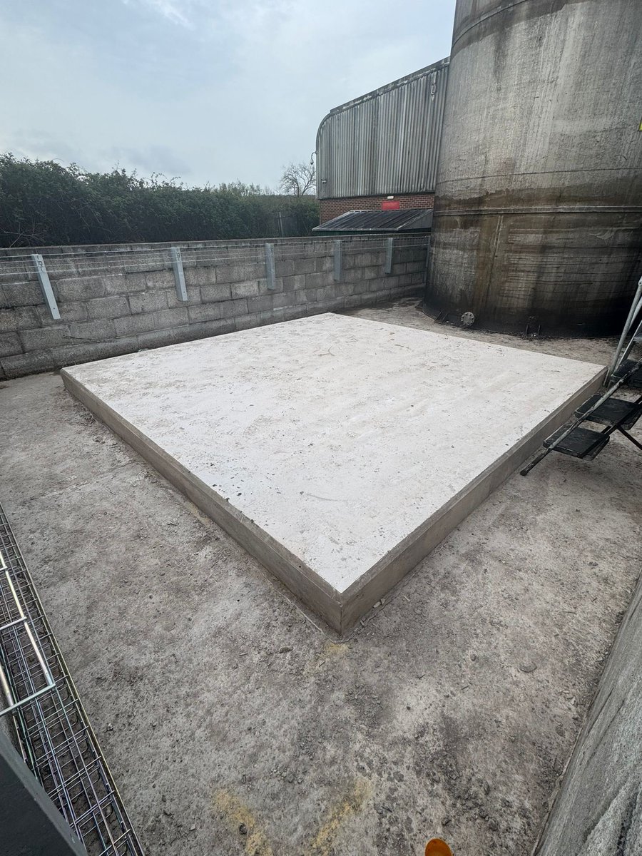 Noel Fitzpatrick Ltd tweet media