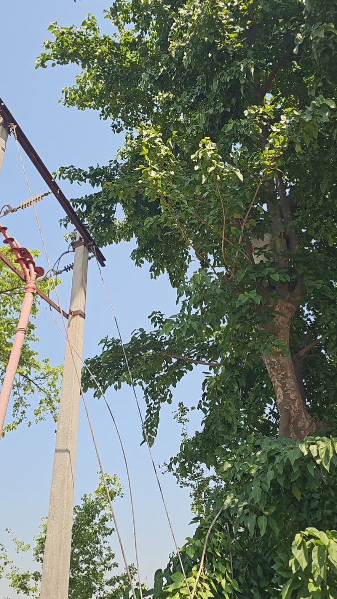 MVVNL Ayodhya tweet media