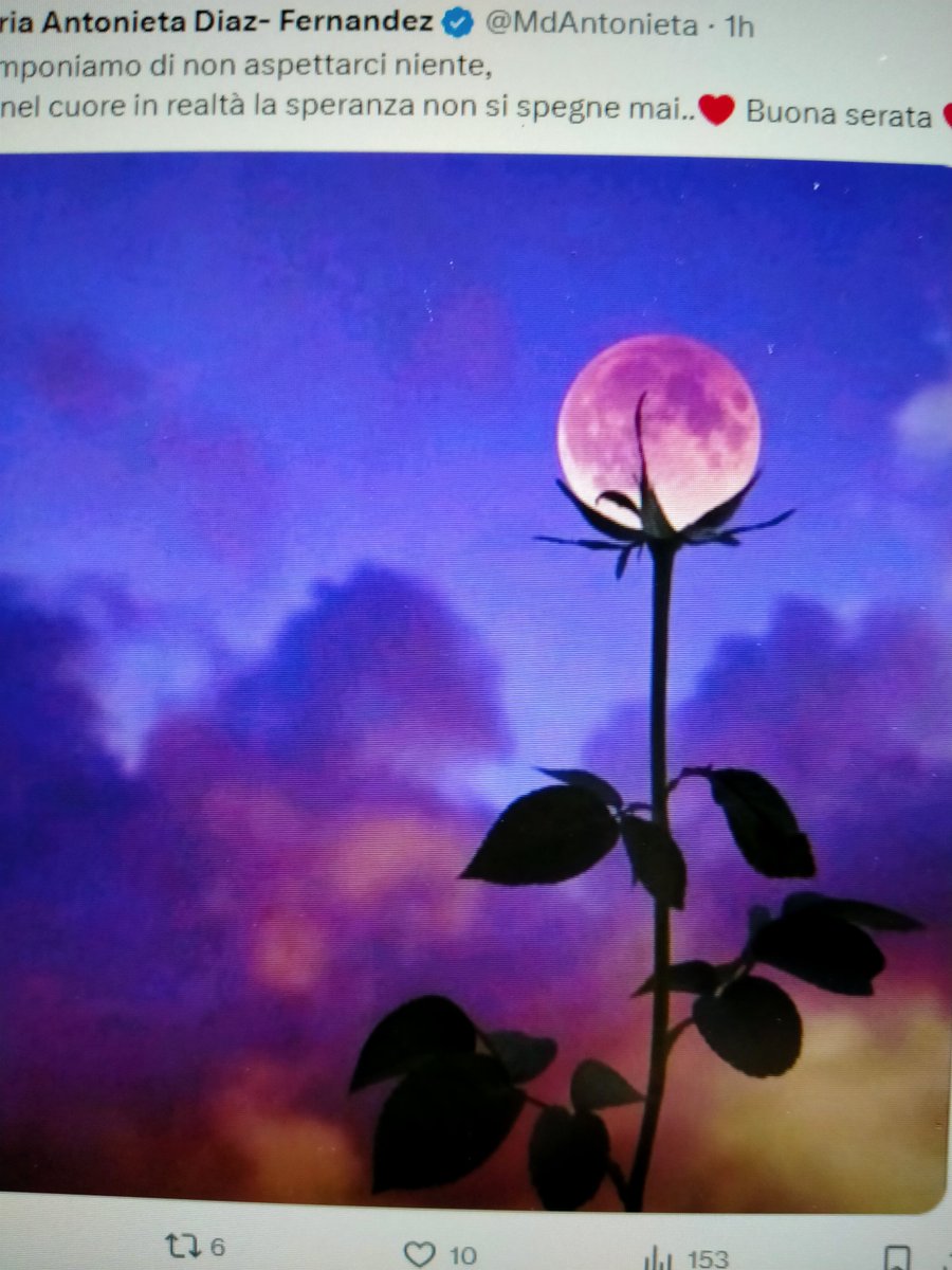 DR Brigitte Von Oppel tweet media