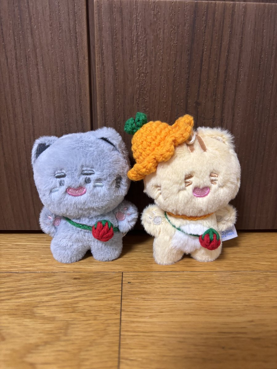 유자몽⭐️신입찡구🩵 tweet media