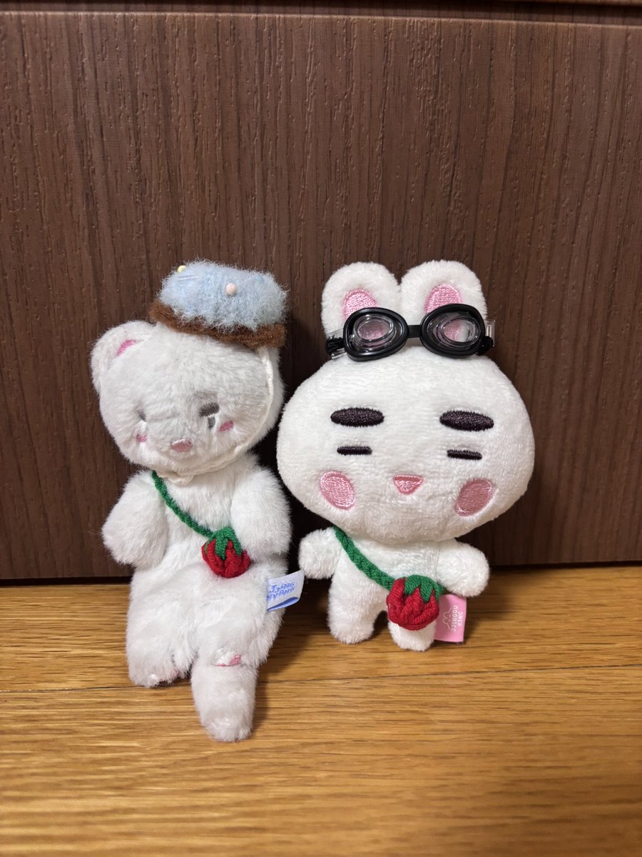 유자몽⭐️신입찡구🩵 tweet media